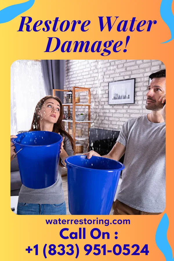 water restoration Quick Sewage Cleanup Co Metairie